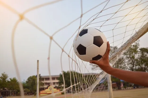 开云体育app下载指引